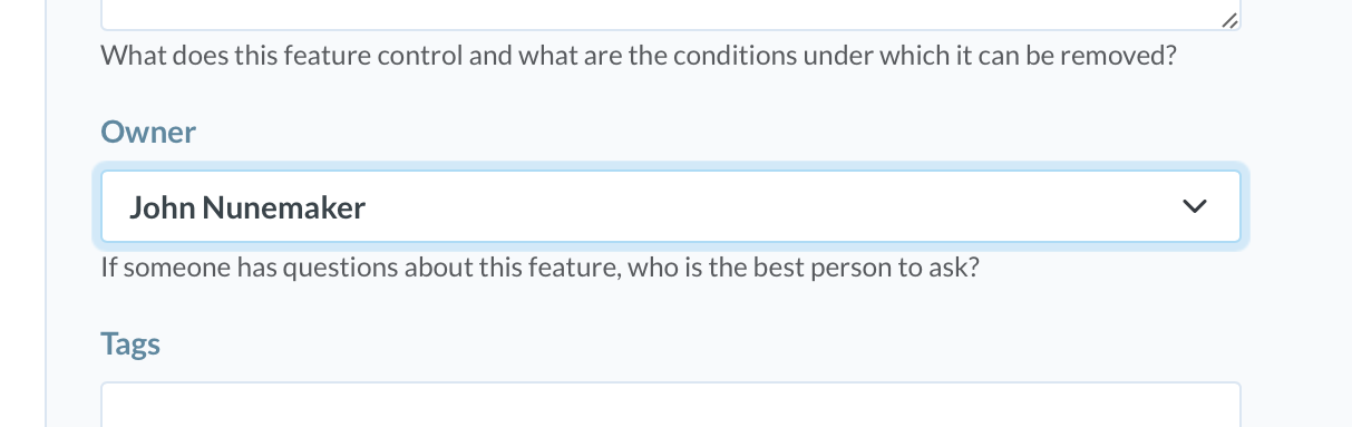 A screenshot of the new feature form with focus on the 'Owner' field which is a drop down list of project team member names.